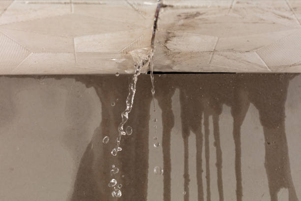 Professional Water Damage Repair technician working in Montrose, AL